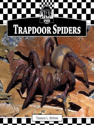 cover image of Trapdoor Spiders